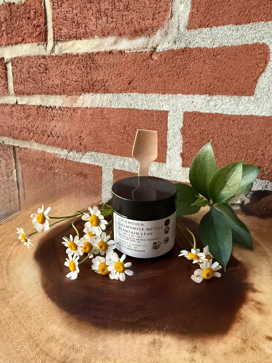 Calendula, Chamomile, Nettle and Great Plantain Leaf  Herbal Salve